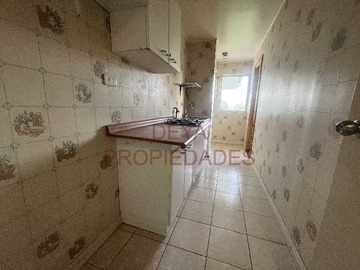 Imagen 11