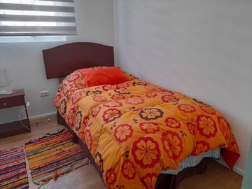 Imagen 11