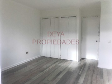 Imagen 11