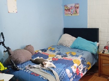 Imagen 13