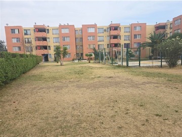 Imagen 7