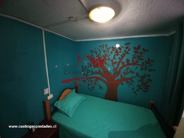 Imagen 14
