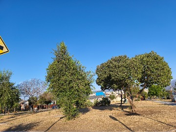 Venta / Departamento / Quillota