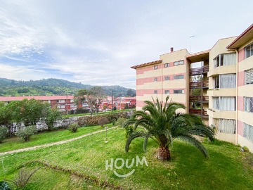 Imagen 5
