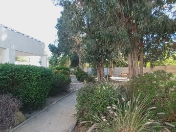 Áreas comunes zona picnic