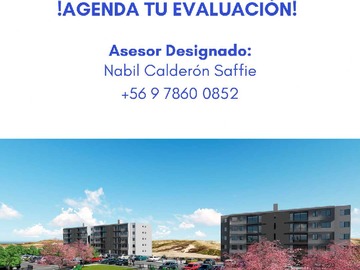Imagen 11