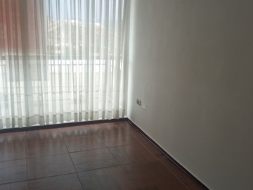 Imagen 15