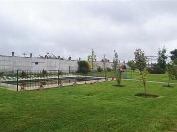Imagen 13
