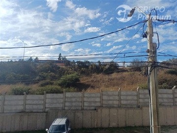 Imagen 21