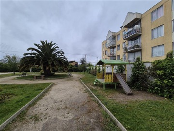 Imagen 15