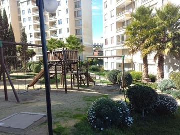 Imagen 5