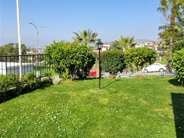 Imagen 16
