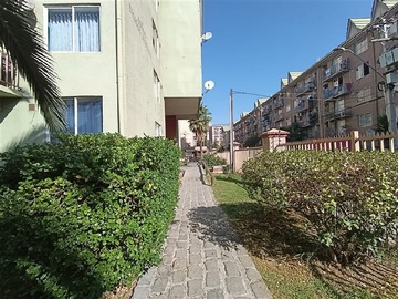 Imagen 15