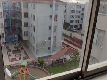 Imagen 7
