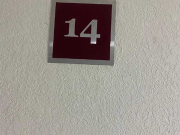 Imagen 12