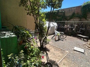 Imagen 26