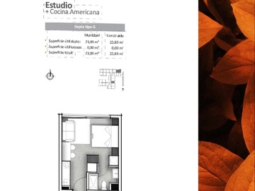 Imagen 8
