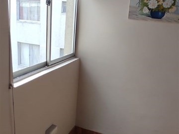 Imagen 5