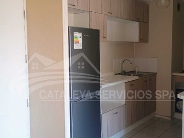 Imagen 7