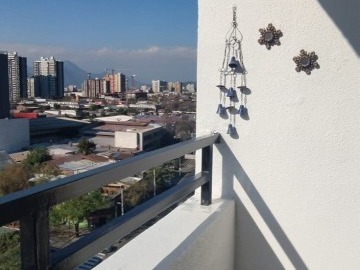 Imagen 11