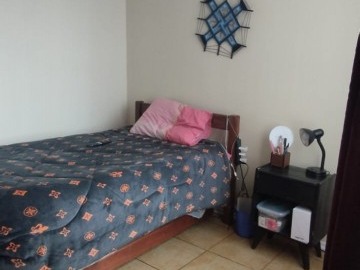 Imagen 13