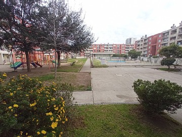 Imagen 14