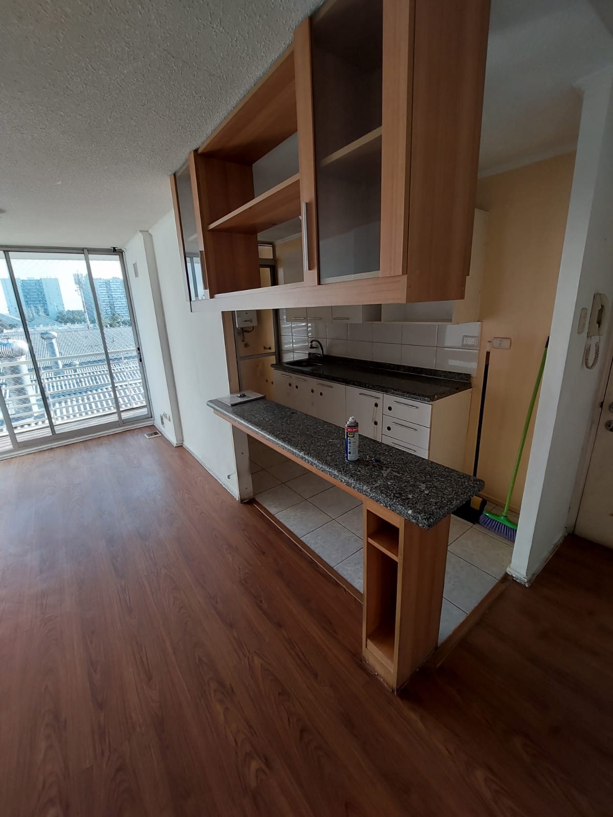Living -Cocina