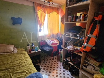 Imagen 12