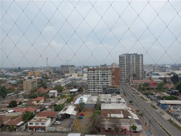 Imagen 13