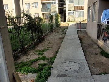 Imagen 15