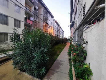 Imagen 20