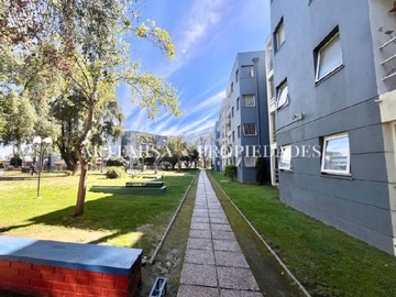 Imagen 19