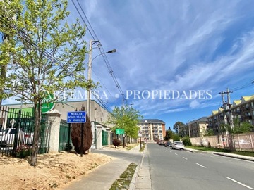 Imagen 23