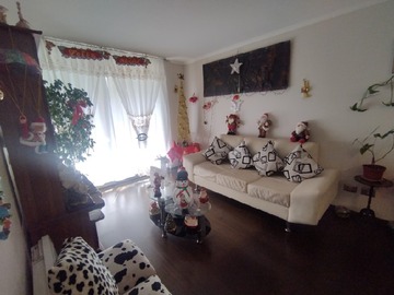 Imagen 6