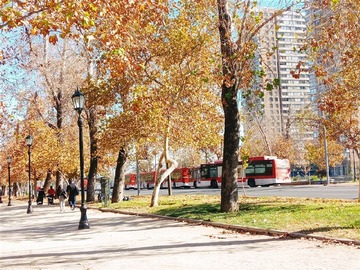 Imagen 24
