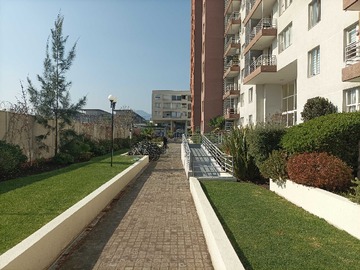 Imagen 23