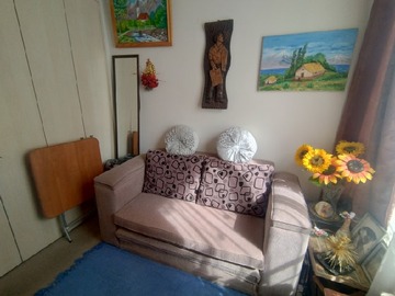 Imagen 15