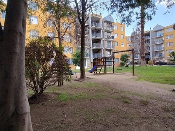Imagen 20