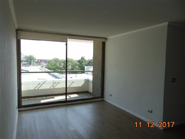Imagen 11
