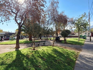 Imagen 22