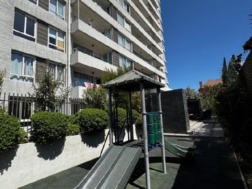 Imagen 11