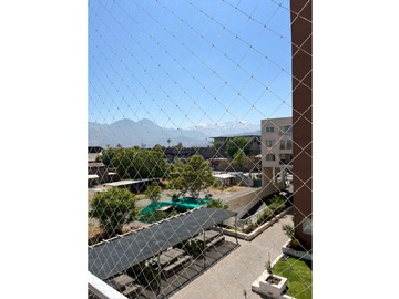 Imagen 5