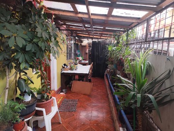 Imagen 5