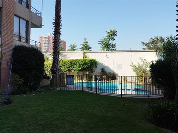 Imagen 5