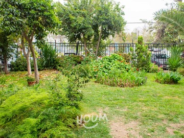 Imagen 25