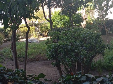 Imagen 22