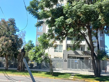Venta / Departamento / San Bernardo