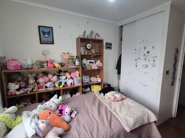 Imagen 13