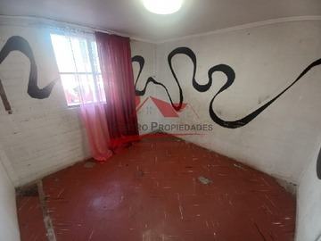 Imagen 19