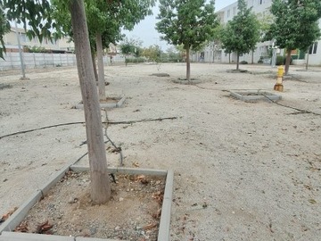 Imagen 16